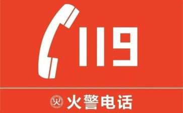 校园119全国消防日活动总结7篇
