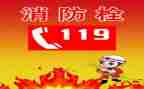 大班安全教育119消防日教案6篇