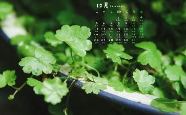 12月安全工作总结7篇