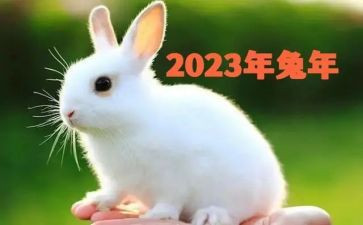 2023年残疾人康复工作计划6篇