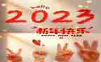 2023年教师个人述职报告范文通用7篇