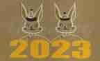 2023年暑期活动总结模板7篇