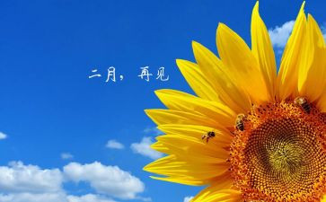 2月安全工作总结最新7篇
