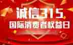 315保险公司总结报告5篇