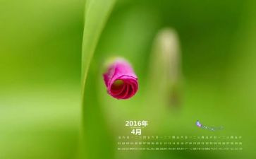 幼儿园中班4月份月计划6篇
