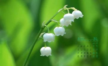 4月份幼儿园小班工作总结7篇