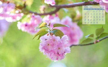 4月工作计划推荐8篇