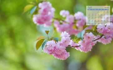 幼儿园中班下4月工作总结6篇