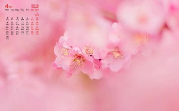 4月工作计划8篇