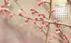 小班4月份工作计划8篇