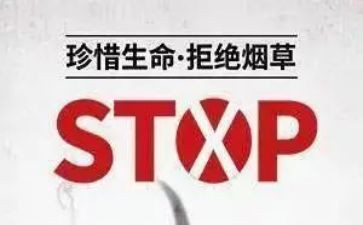 531培训心得体会范文优秀8篇
