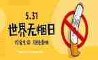 531对照材料7篇