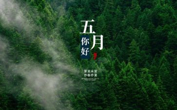 5月保安工作计划6篇