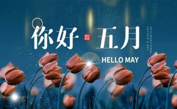 中班5月工作总结7篇