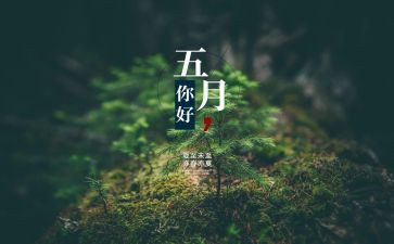 幼儿园教师5月份工作总结8篇