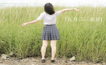 2023年5月总结报告8篇