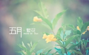 幼儿小班5月工作计划8篇