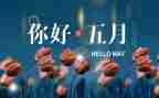 中班5月工作总结7篇