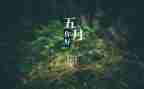 幼儿园教师5月份工作总结8篇