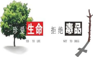 626讲话稿7篇