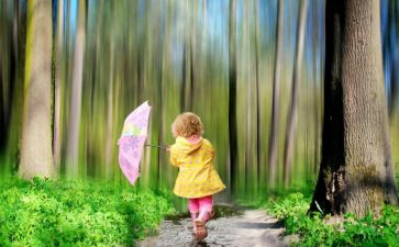 3—6岁发展指南心得参考5篇