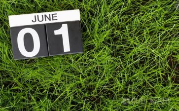 6月安全心得体会6篇
