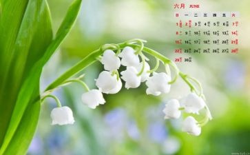 6月幼儿活动方案5篇