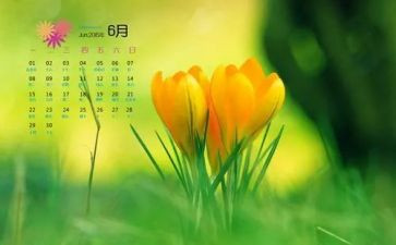 幼儿园大班6月份工作计划5篇