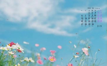 6月活动方案优秀6篇