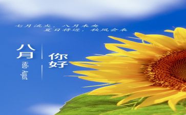 8月15工作计划精选8篇
