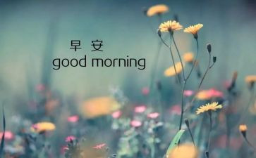 8月的工作总结推荐8篇
