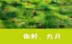 9月幼儿园教师月工作总结8篇