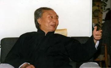艾青诗集树的读后感7篇