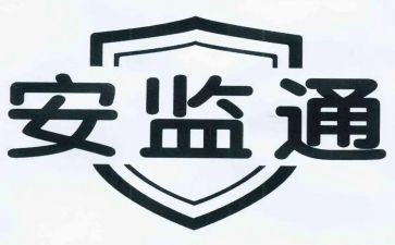 镇安监年度工作总结8篇