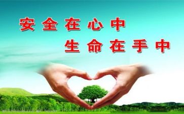 安全心得体会450字8篇