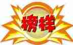 学榜样的心得体会推荐5篇