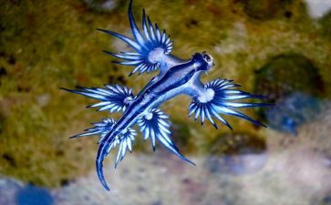 学生物工作计划通用7篇