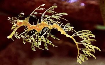 生物社心得体会8篇