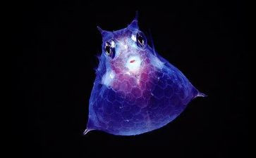 学生物心得体会优质7篇
