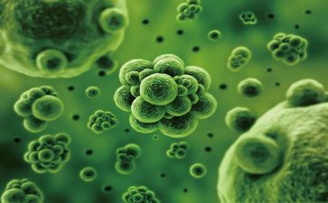 初中生物教师工作总结个人总结6篇