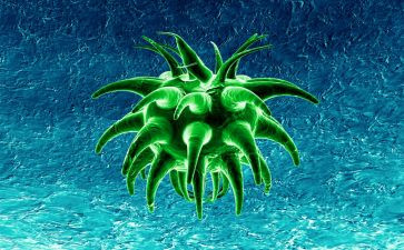 生物第二学期工作计划7篇