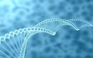 高二上学期生物教师工作计划6篇