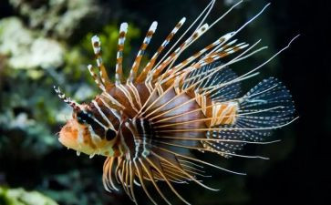 生物实验心得体会100优秀7篇