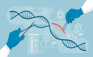 生物实验心得体会100精选6篇