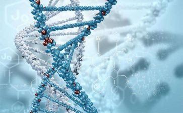 生物组学科工作计划5篇