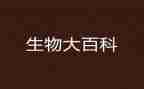 生物学教师工作总结6篇
