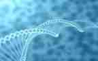 高二上学期生物教师工作计划6篇
