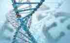 生物组学科工作计划5篇
