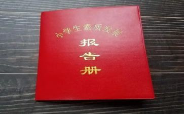 报告册心得体会最新8篇