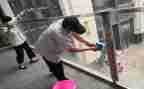 上半年保洁工作总结8篇